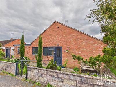 Picture 20